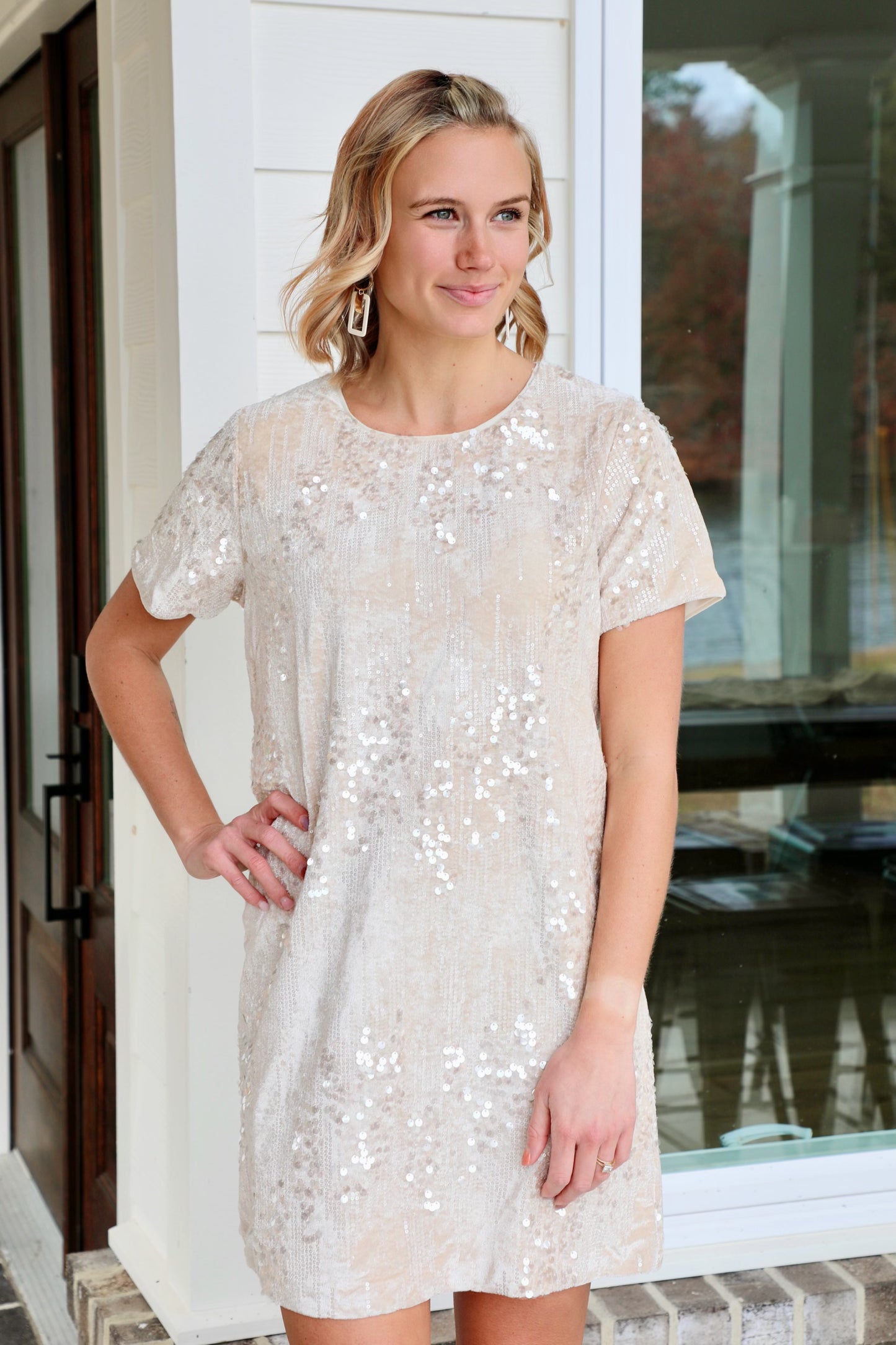Sequined Velvet Cream Dress