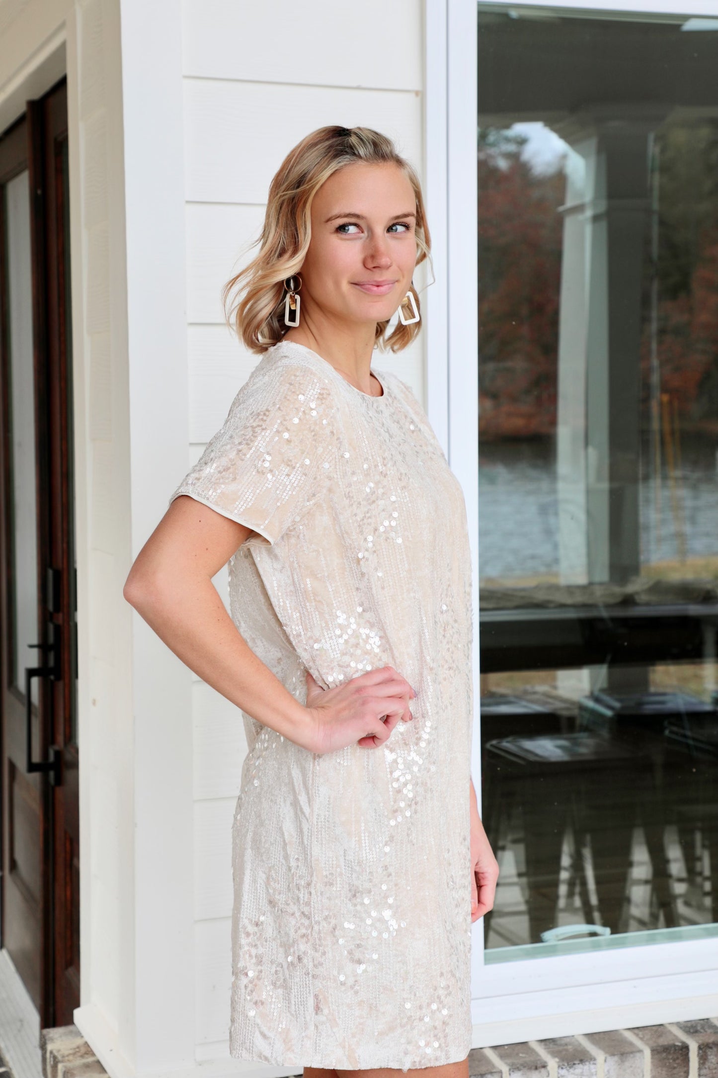 Sequined Velvet Cream Dress